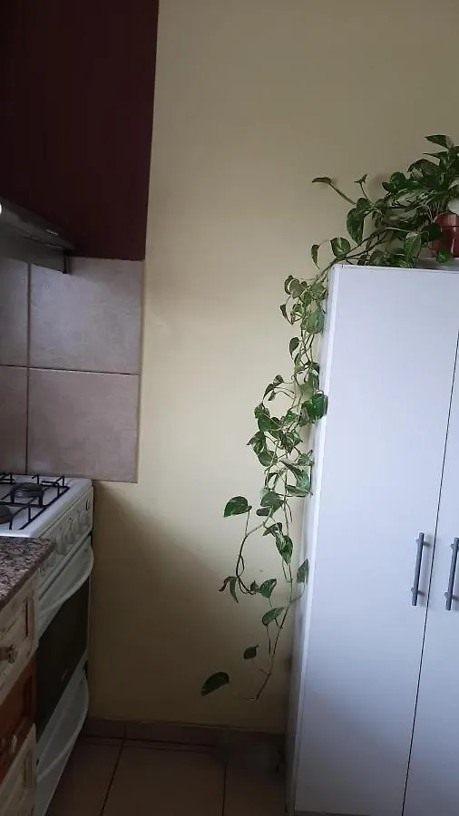 Cacique Guaymallen Apartment Mendoza 0*,  Argentina