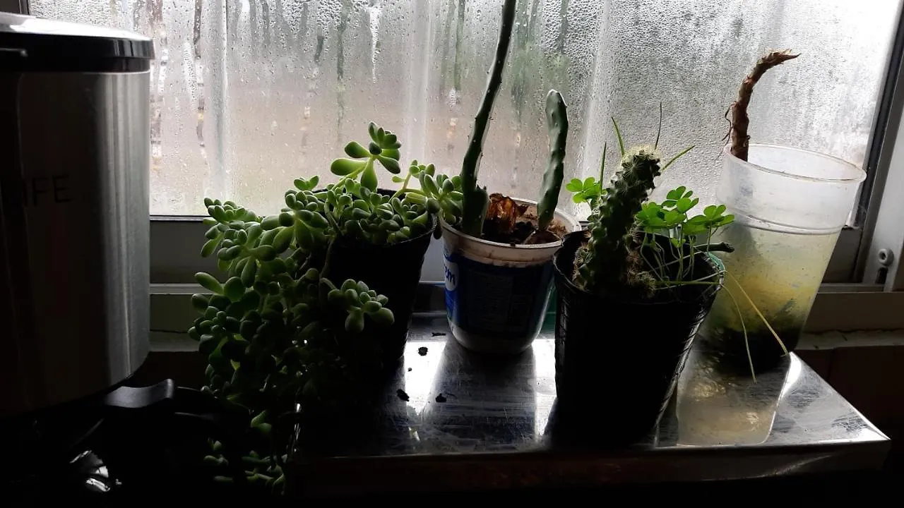 Apartamento Cacique Guaymallén Mendoza Argentina